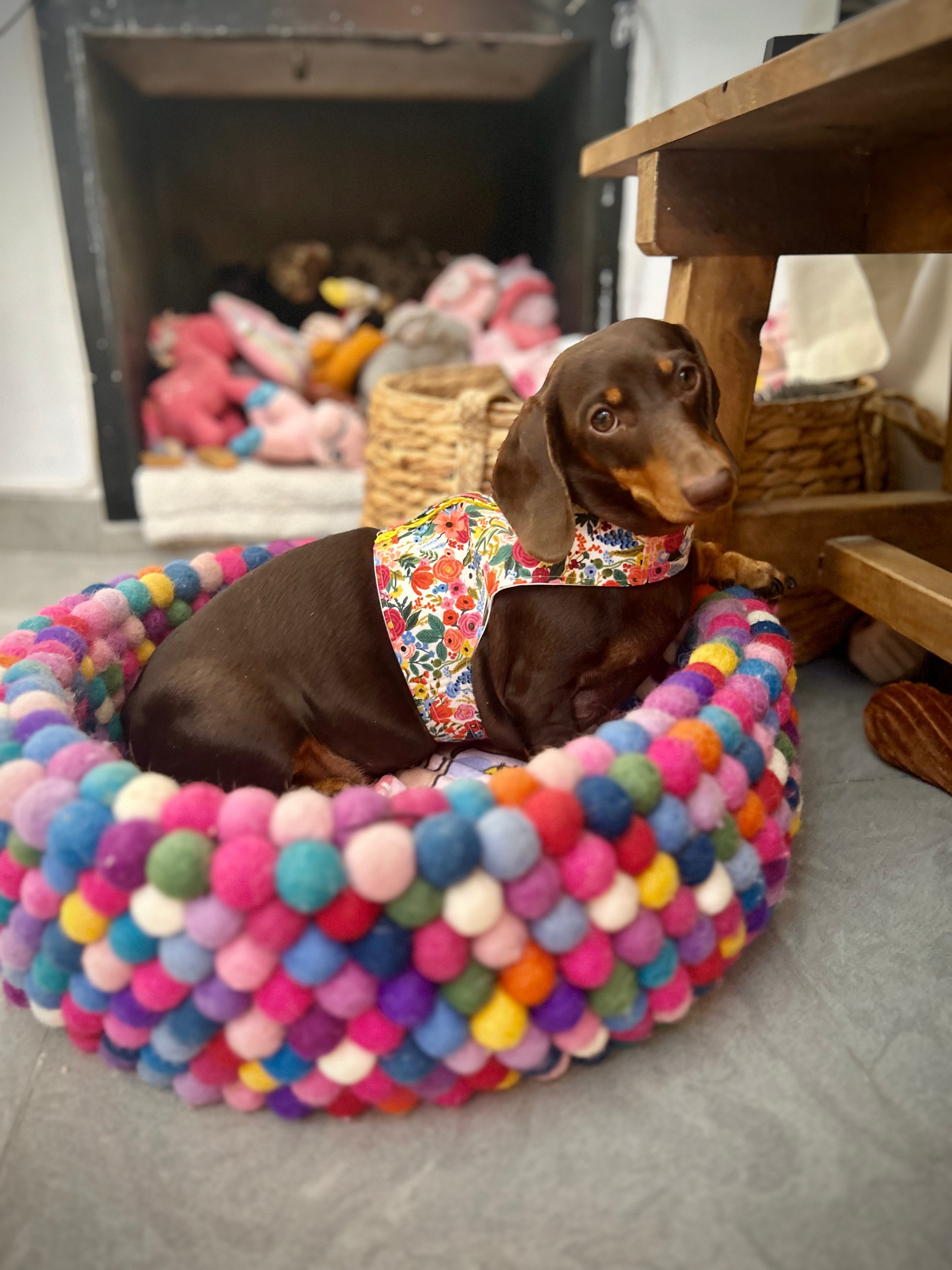 Handmade Vest Dog Harness - Garden Party-4