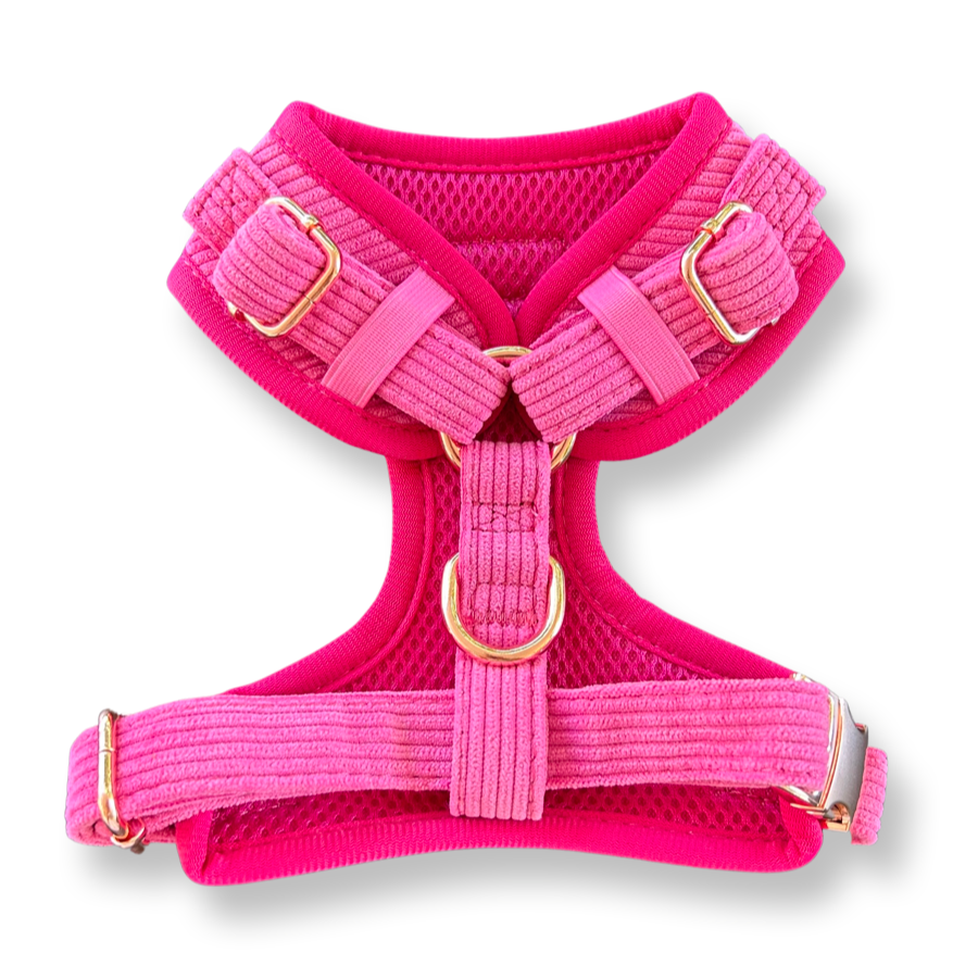 Pink Luxe Corduroy Harness-1