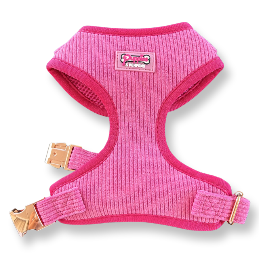 Pink Luxe Corduroy Harness-0